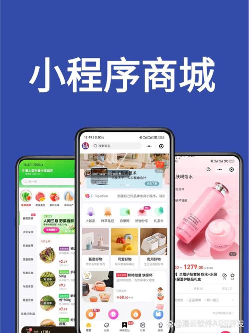 小程序开发：构建移动时代的轻量级入口
