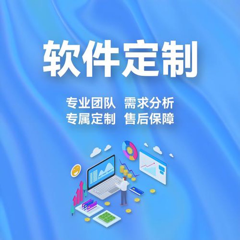 软件开发
